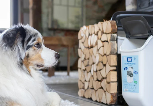 How to keep your home clean with a dog – 6 simple cleaning tips