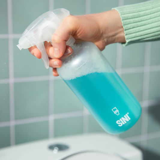 How to clean your toilet properly