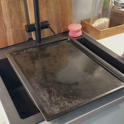 Scouring Sponge